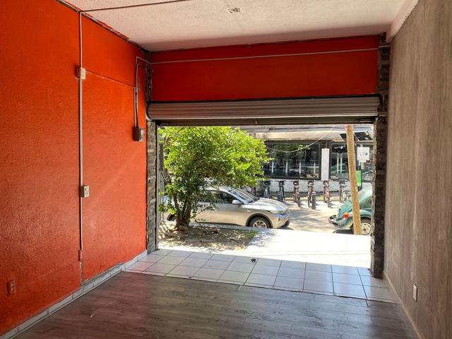 Foto de la galeria de imagenes